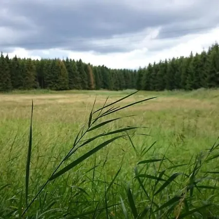 Apartament Gemuetliche Im Gruenen Am By Interhome Dadaj