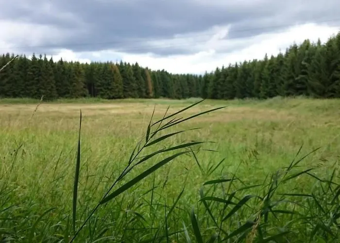 Апартаменты Gemuetliche Im Gruenen Am By Interhome Dadaj